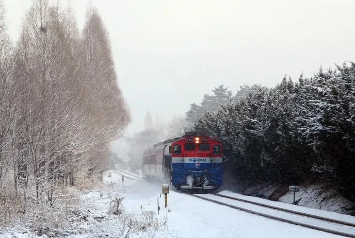 코레일 태백눈꽃열차타는방법 예약 여행코스 총정리(26년 최신) 1 코레일 태백눈꽃열차타는방법 예약 여행코스 총정리(26년 최신)