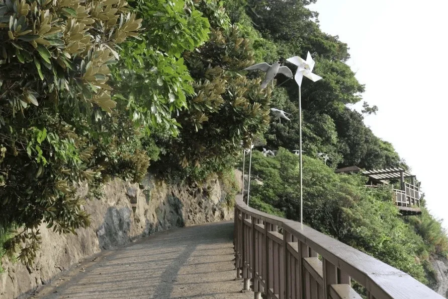 지심도 동백꽃 개화시기 총정리🌺 | 지심도 배편부터 여행 코스까지 완벽 가이드(26년 최신) 7 지심도 동백꽃 개화시기 총정리