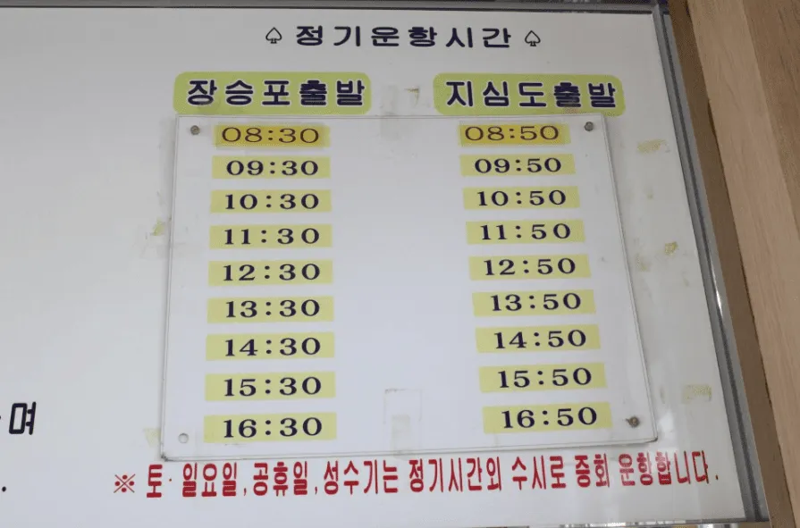 지심도 동백꽃 개화시기 총정리🌺 | 지심도 배편부터 여행 코스까지 완벽 가이드(26년 최신) 4 지심도 동백꽃 개화시기 총정리