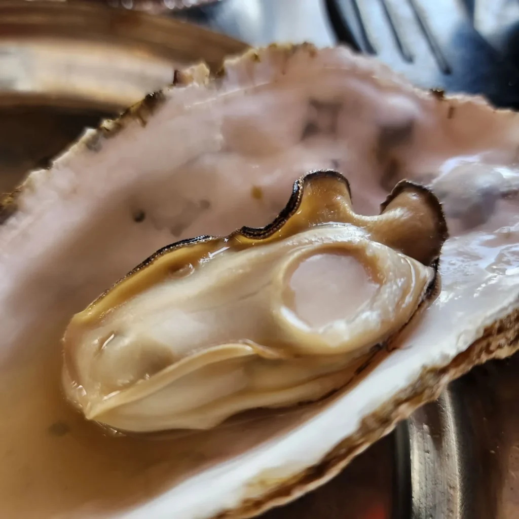 바다 앞에서 까먹는 굴찜, 마산 구산면 굴구이 맛집 ‘해파랑’ 솔직한 내돈내산 리뷰(26년 1월) 4 바다 앞에서 까먹는 굴찜, 마산 구산면 ‘해파랑’ 솔직한 내돈내산 리뷰(26년 1월)